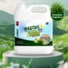 Wagtail Disinfectant Surface & Floor Cleaner Liquid, Citronella Fragrance - 5 Litre | Suitable for All Floor Cleaner Mops | Kills 99.9% Germs.