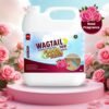 Wagtail Disinfectant Surface & Floor Cleaner Liquid, ROSE - 5 Litre | Suitable for All Floor Cleaner Mops | Kills 99.9% Germs.